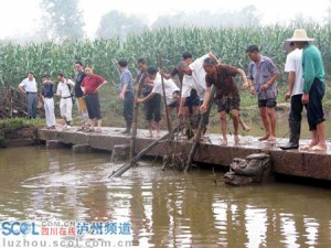 001d093215010daa179a0b