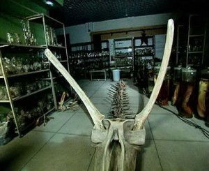 0ABA97C416280330BB58C34A862233E1