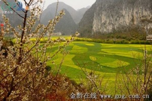 A5F21C38FDD91F6147846393A1546FEC