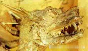 rd_or_400c56fd828a655d5cb7e27e68e54952