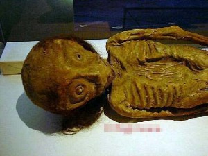 rd_or_4a09074797ec2655bcd2ee688ae88a84