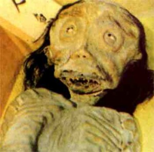 rd_or_6195980ffb814af697691d693ba10e9d