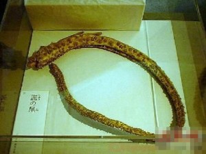 rd_rs_3a3808652eada7d676f392bdcc0c8e79