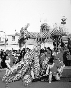 xin_0630207070849625040112