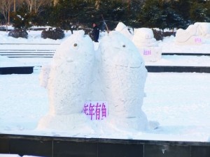 W020121231307654364679