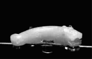 14feb5e05709113654c145