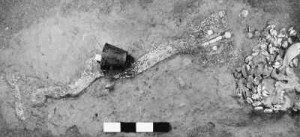 53A5088A24E94E1F6AC62DE26C2EAD42