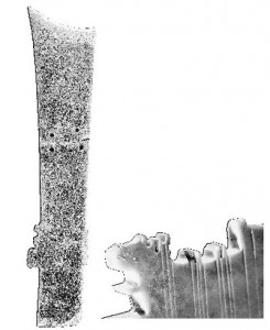 B8BAF6063DED96FC943866024514F63F