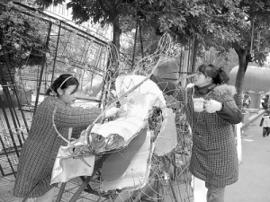 061295982948015_change_zhangya11131_b