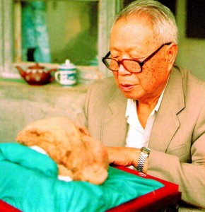 xin_46100622034834347297