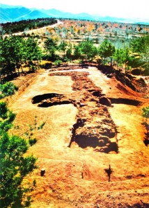 xin_461006220348781146348